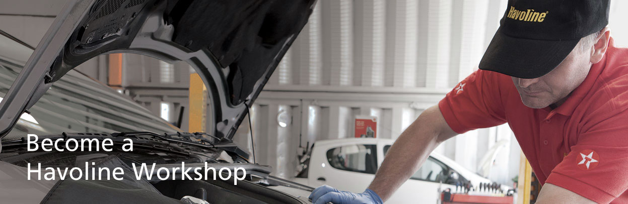 Havoline Workshop